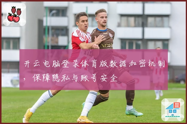 开云电脑登录体育版数据加密机制，保障隐私与账号安全