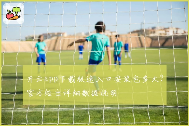 开云app下载极速入口安装包多大？官方给出详细数据说明