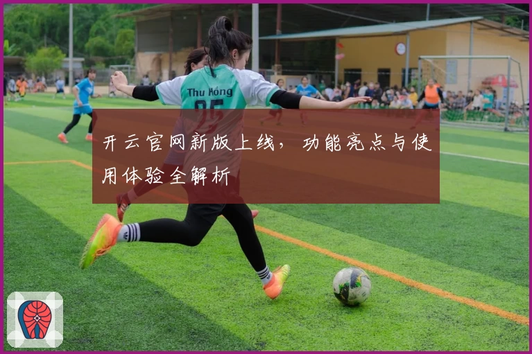 开云官网新版上线，功能亮点与使用体验全解析