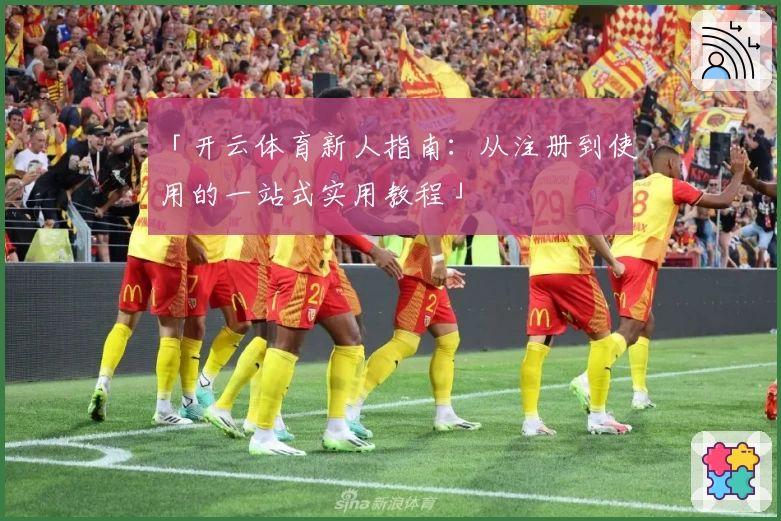 「开云体育新人指南：从注册到使用的一站式实用教程」